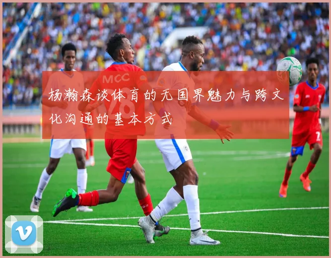 杨瀚森谈体育的无国界魅力与跨文化沟通的基本方式